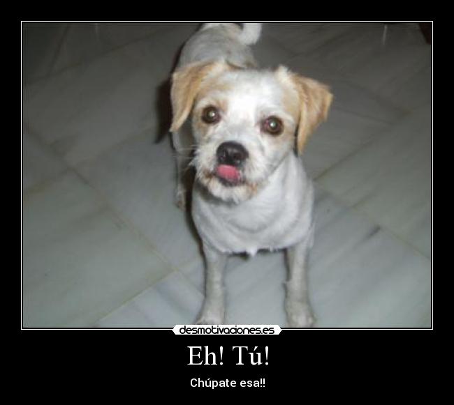 Eh! Tú! - Chúpate esa!!