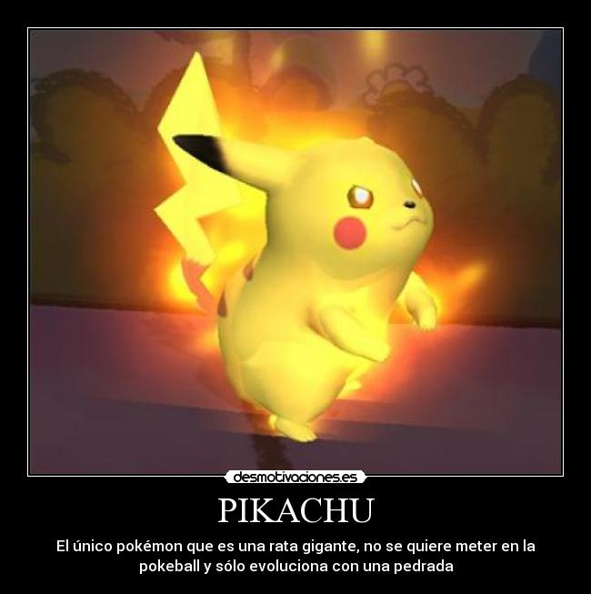PIKACHU - El único pokémon que es una rata gigante, no se quiere meter en la
pokeball y sólo evoluciona con una pedrada