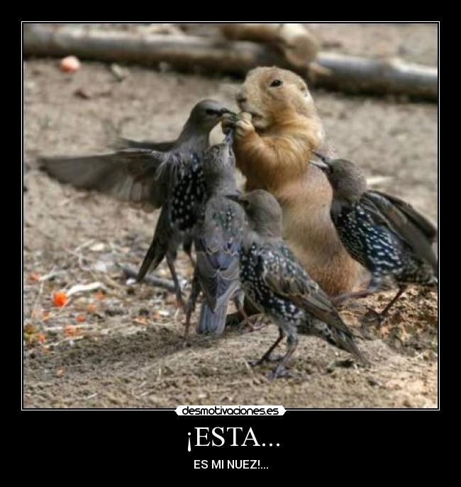 ¡ESTA... -