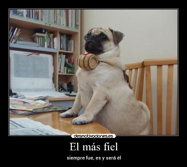 El más fiel - 