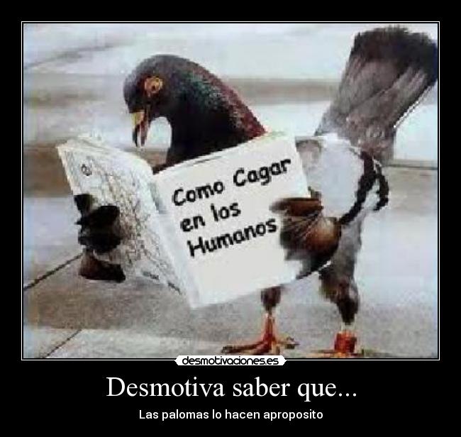 carteles wwwdesmotivacioneses desmotivaciones