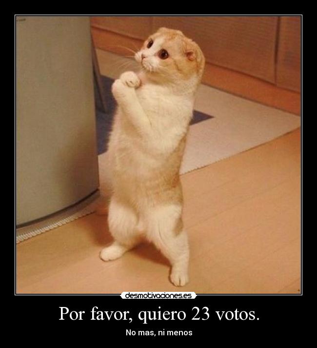 Por favor, quiero 23 votos. - No mas, ni menos