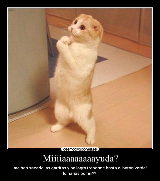 Miiiiaaaaaaaayuda? - 