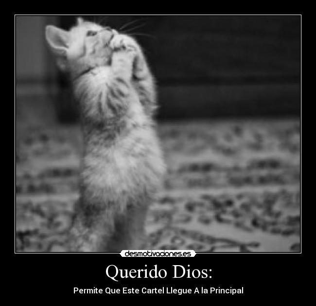 Querido Dios: - Permite Que Este Cartel Llegue A la Principal