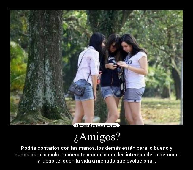 ¿Amigos? - 