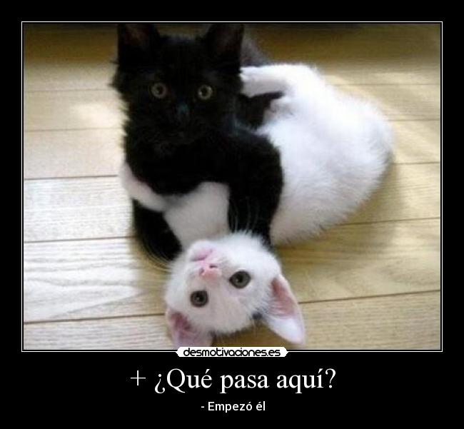 + ¿Qué pasa aquí? -