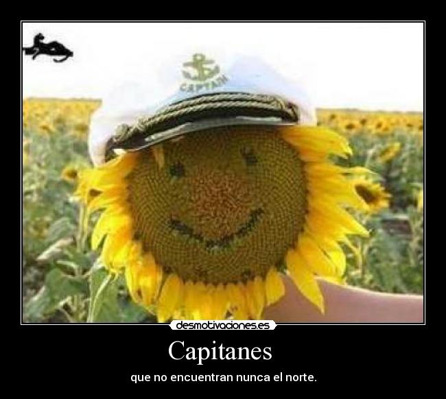 Capitanes - que no encuentran nunca el norte.