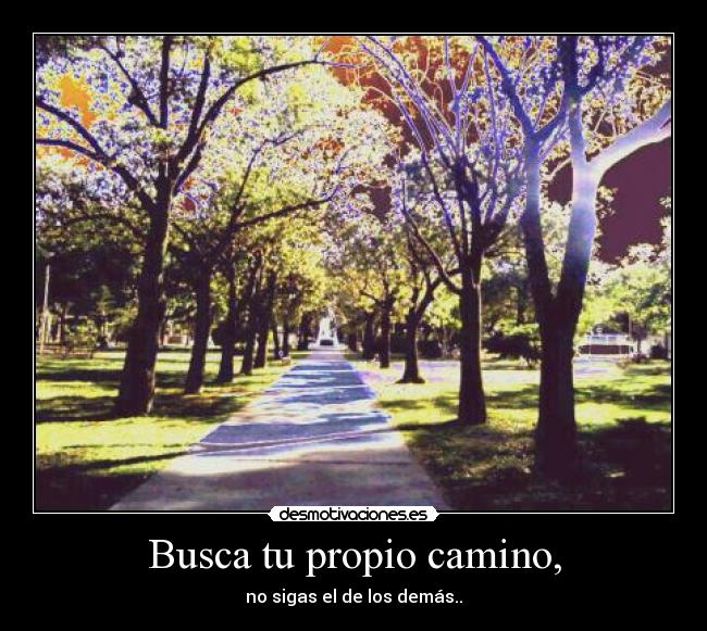 Busca tu propio camino, - no sigas el de los demás..