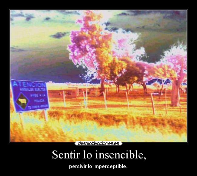 Sentir lo insencible, - persivir lo imperceptible..