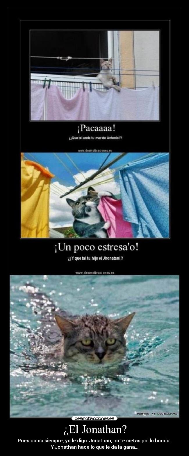 ¿El Jonathan? - 
