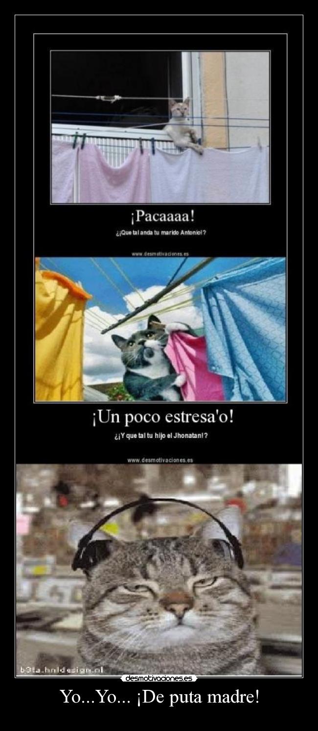 Yo...Yo... ¡De puta madre! -