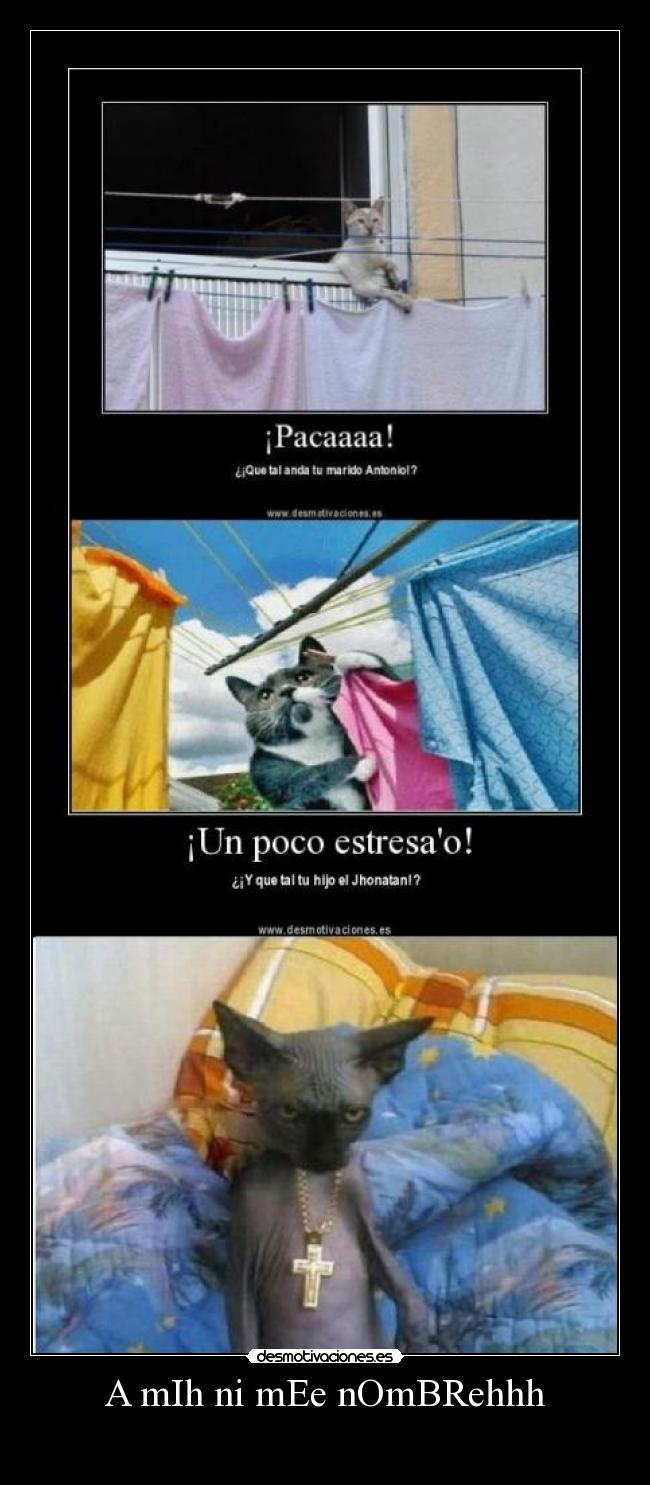 A mIh ni mEe nOmBRehhh - 
