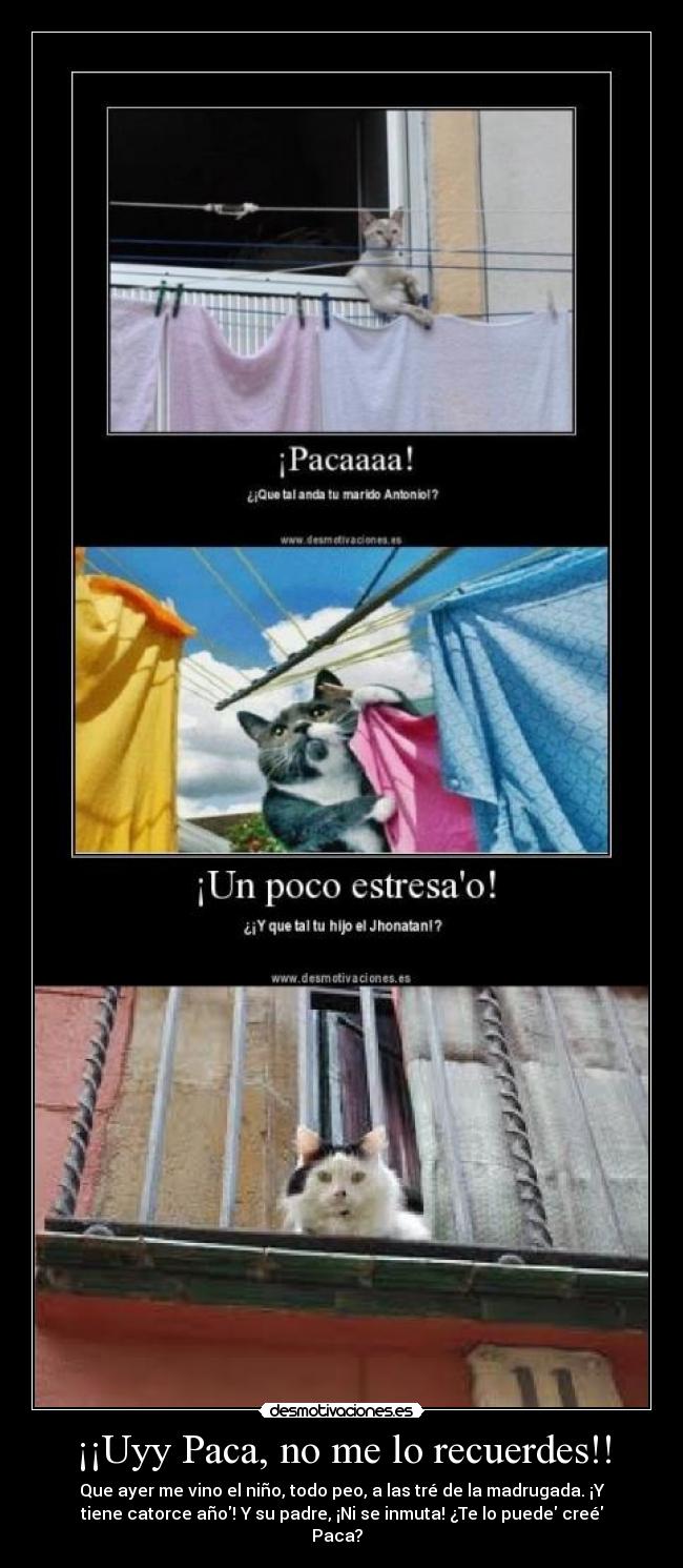 ¡¡Uyy Paca, no me lo recuerdes!! - 