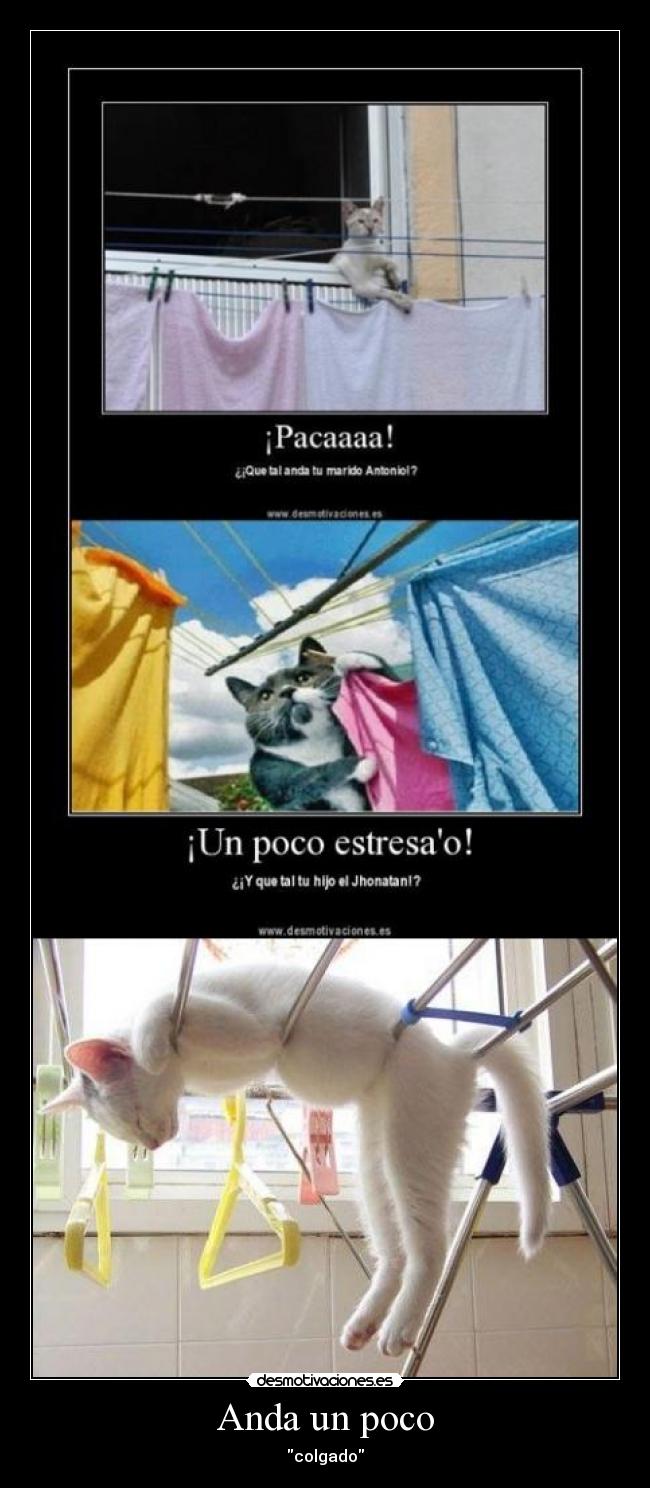 Anda un poco - colgado