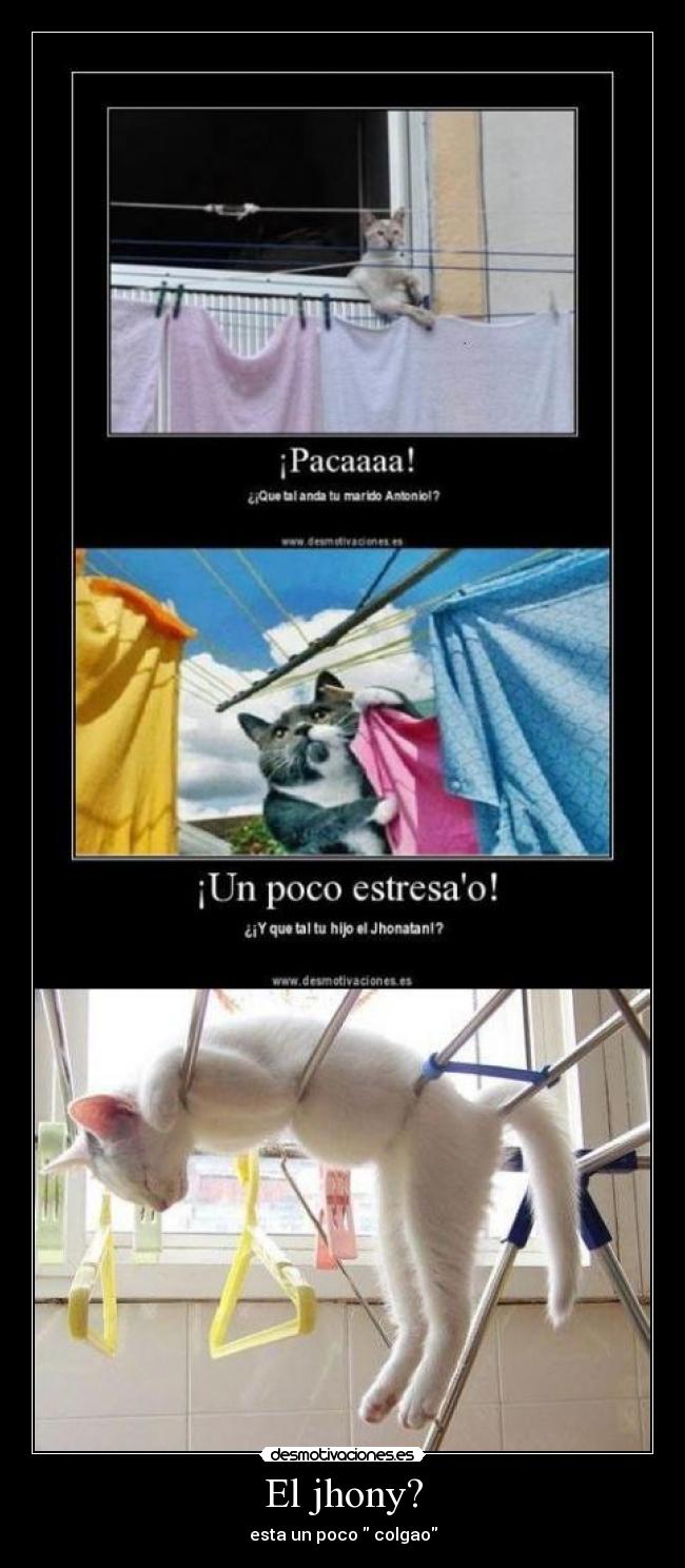 El jhony? - esta un poco colgao