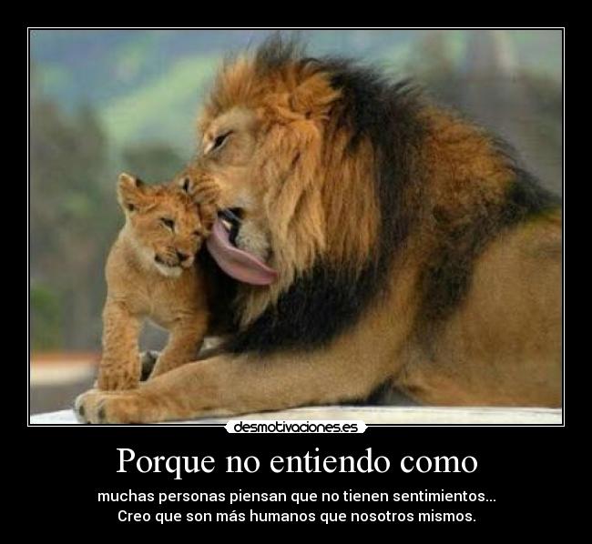 carteles peroqbonitoo desmotivaciones