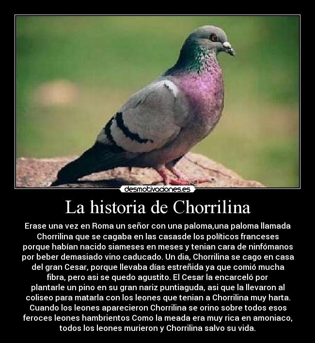 La historia de Chorrilina - Erase una vez en Roma un señor con una paloma,una paloma llamada
Chorrilina que se cagaba en las casasde los políticos franceses
porque habían nacido siameses en meses y tenian cara de ninfómanos
por beber demasiado vino caducado. Un dia, Chorrilina se cago en casa
del gran Cesar, porque llevaba días estreñida ya que comió mucha
fibra, pero asi se quedo agustito. El Cesar la encarceló por
plantarle un pino en su gran nariz puntiaguda, asi que la llevaron al
coliseo para matarla con los leones que tenian a Chorrilina muy harta.
Cuando los leones aparecieron Chorrilina se orino sobre todos esos
feroces leones hambrientos Como la meada era muy rica en amoniaco,
todos los leones murieron y Chorrilina salvo su vida.