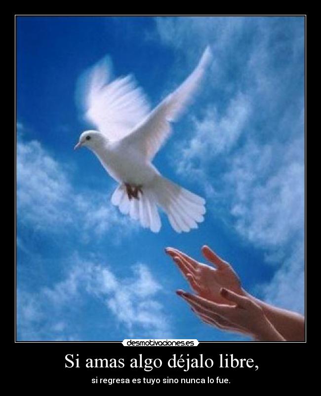 Si amas algo déjalo libre, -