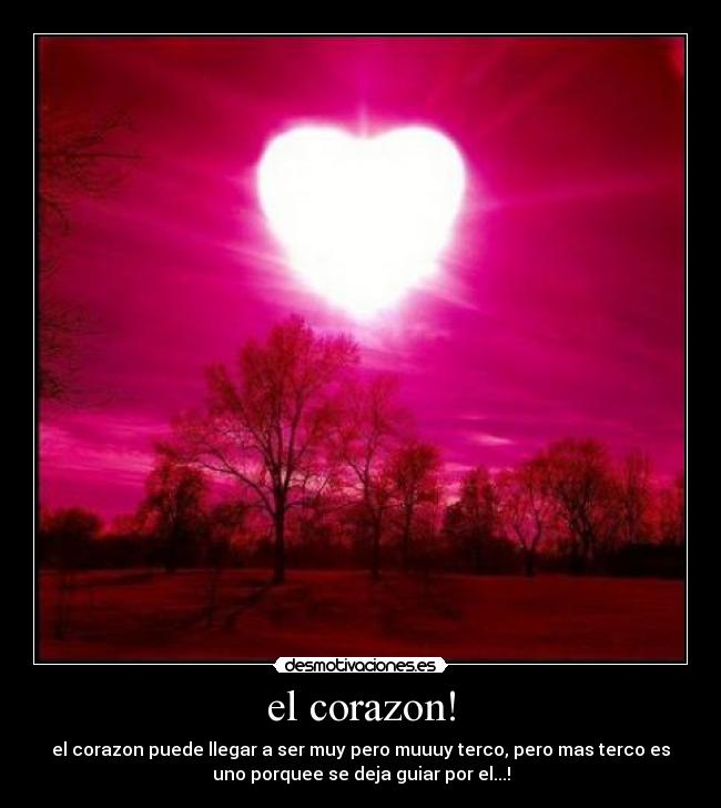 carteles corazon wwwdesmotivacioneses desmotivaciones