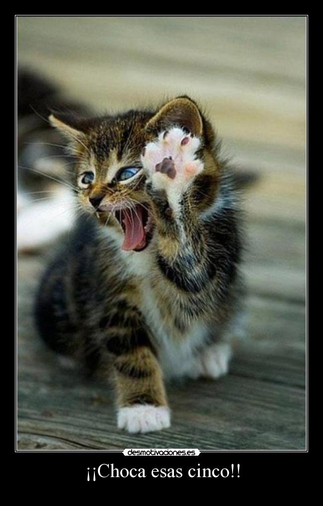 ¡¡Choca esas cinco!! - 