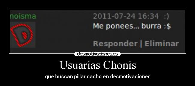 Usuarias Chonis - que buscan pillar cacho en desmotivaciones