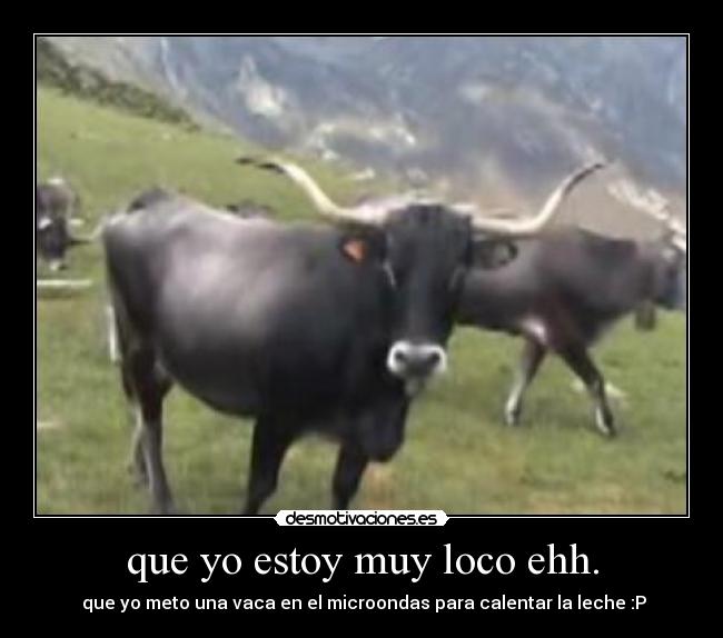 que yo estoy muy loco ehh. - que yo meto una vaca en el microondas para calentar la leche :P