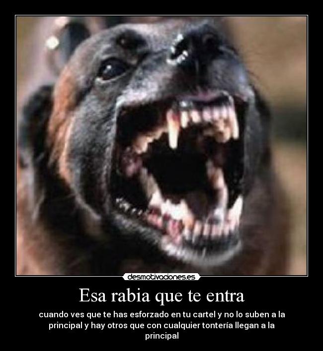 Esa rabia que te entra - cuando ves que te has esforzado en tu cartel y no lo suben a la
principal y hay otros que con cualquier tontería llegan a la
principal