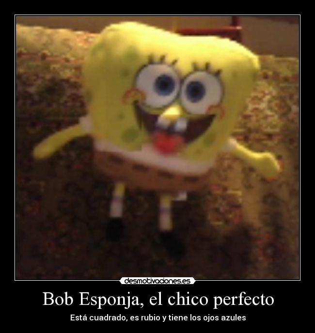Bob Esponja, el chico perfecto -