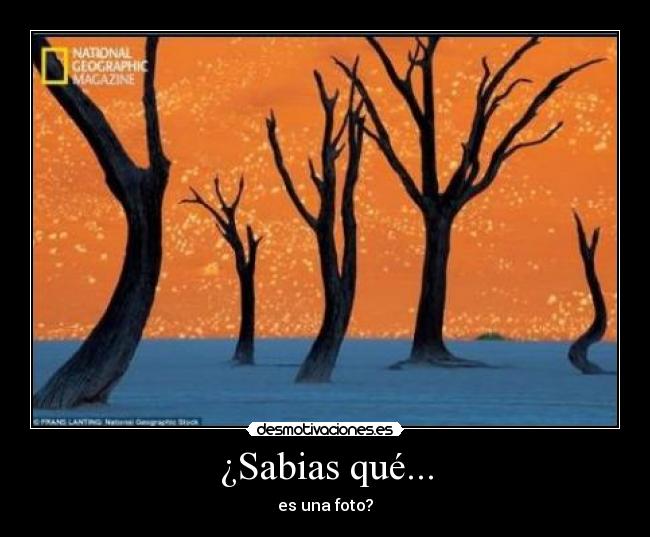 ¿Sabias qué... - es una foto?