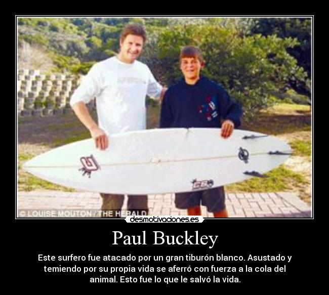 Paul Buckley - 