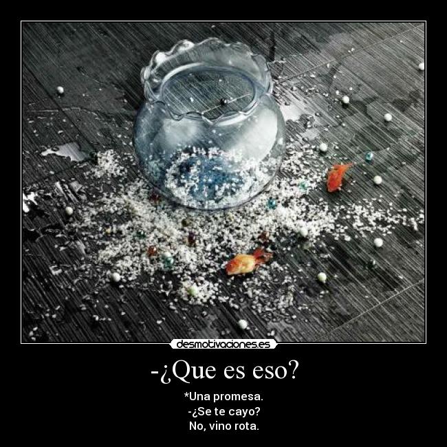 -¿Que es eso? - 