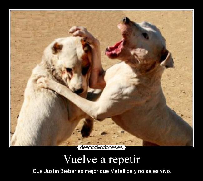carteles justin bieber metallica perro desmotivaciones