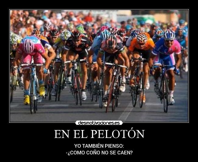 carteles test desmotivaciones