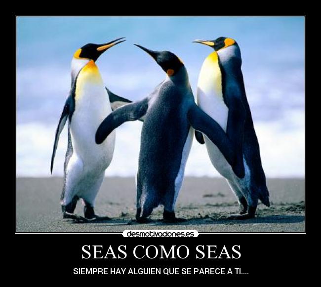 SEAS COMO SEAS - SIEMPRE HAY ALGUIEN QUE SE PARECE A TI....