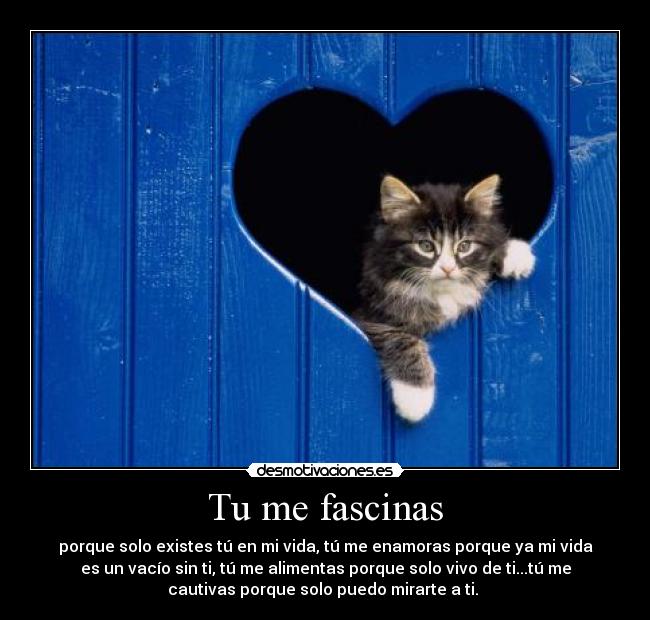 Tu me fascinas - 