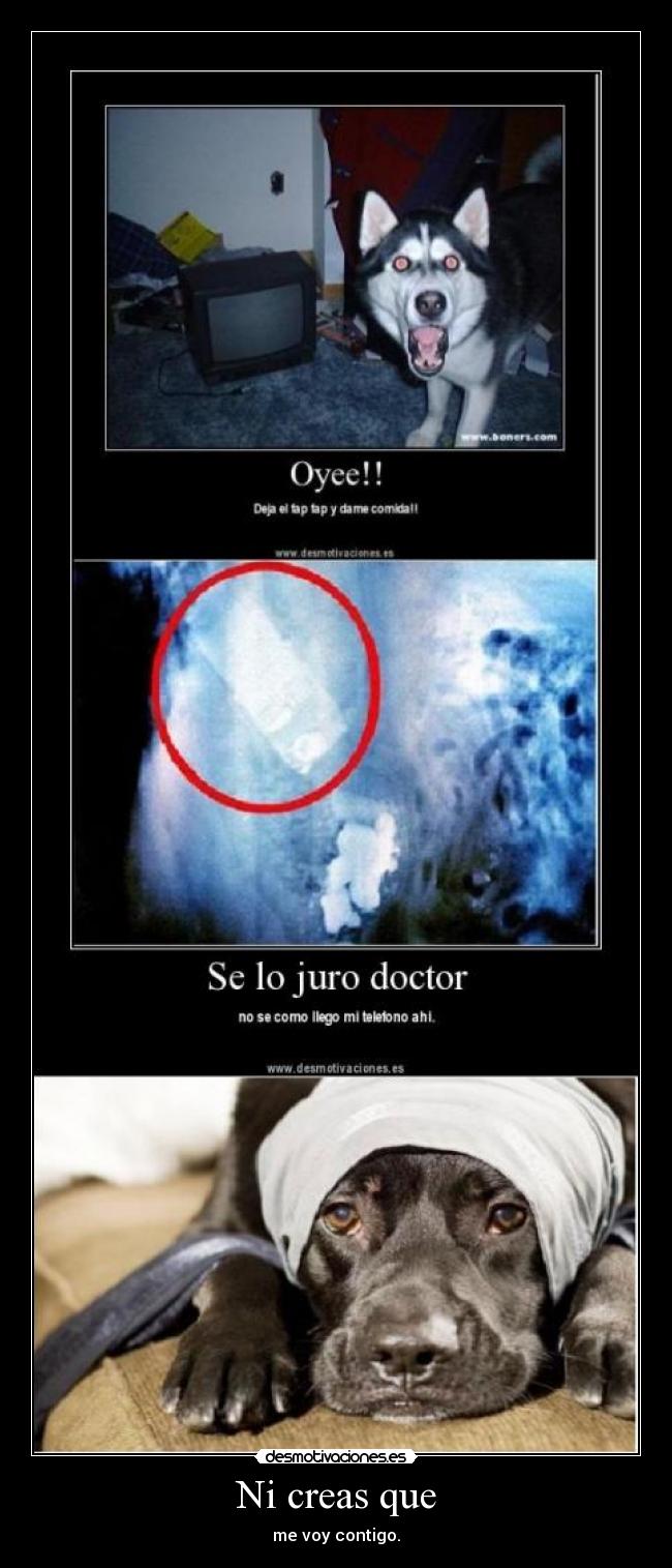 carteles uuhh desmotivaciones