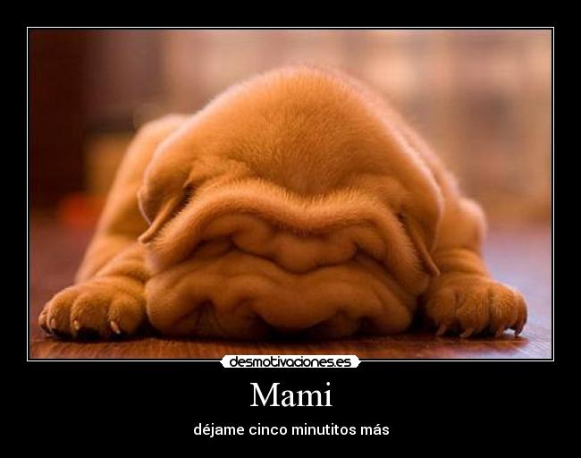 Mami - déjame cinco minutitos más