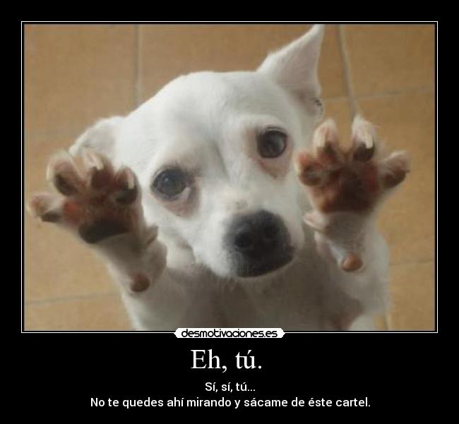 Eh, tú.  - 
