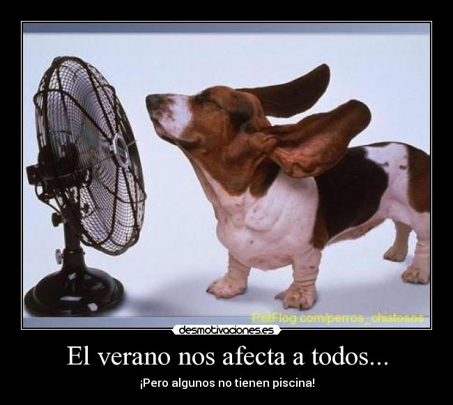 carteles verano miri25 desmotivaciones