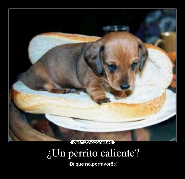 ¿Un perrito caliente? -