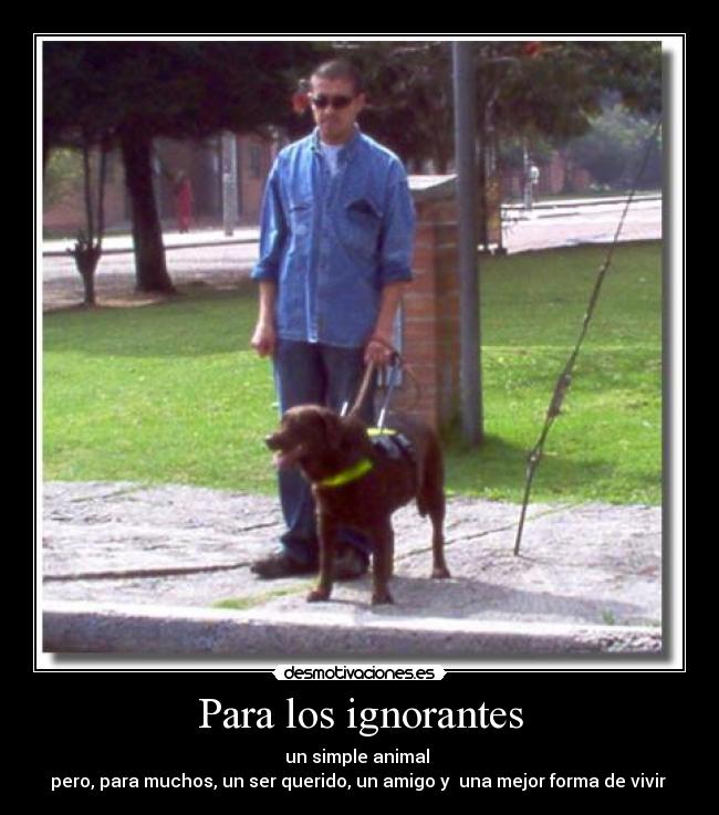 Para los ignorantes - un simple animal 
pero, para muchos, un ser querido, un amigo y  una mejor forma de vivir 