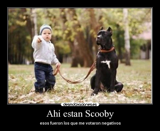 Ahi estan Scooby - esos fueron los que me votaron negativos