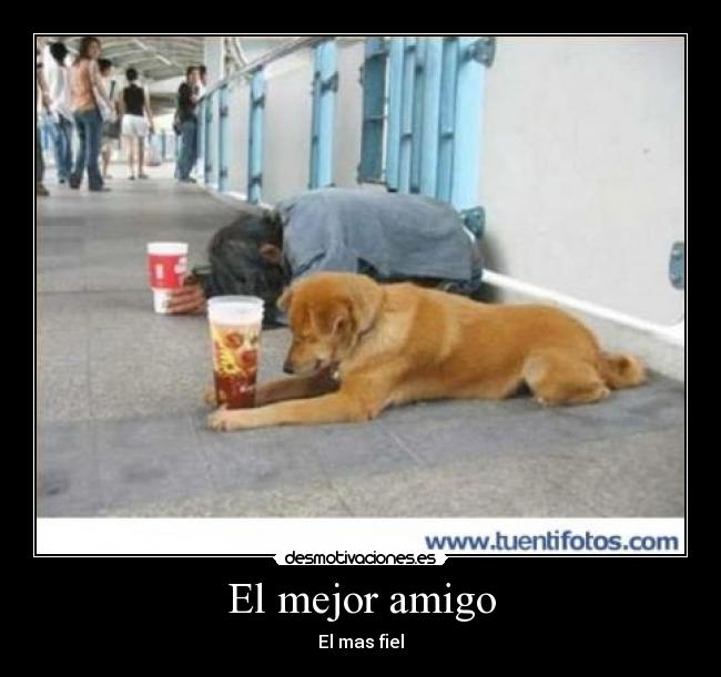 El mejor amigo -