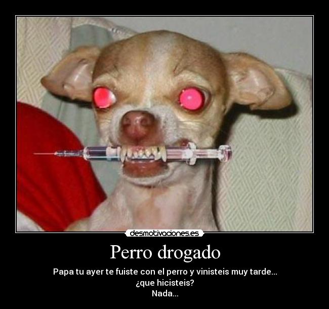 Perro drogado - Papa tu ayer te fuiste con el perro y vinisteis muy tarde...
¿que hicisteis?
Nada...