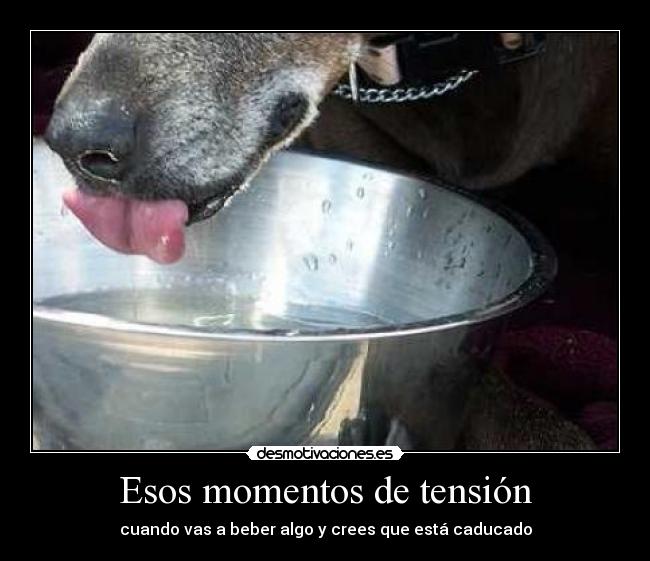 Esos momentos de tensión - 