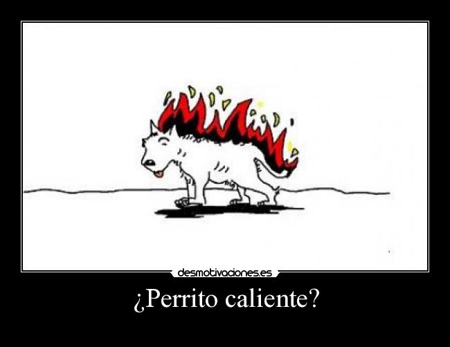 ¿Perrito caliente? -