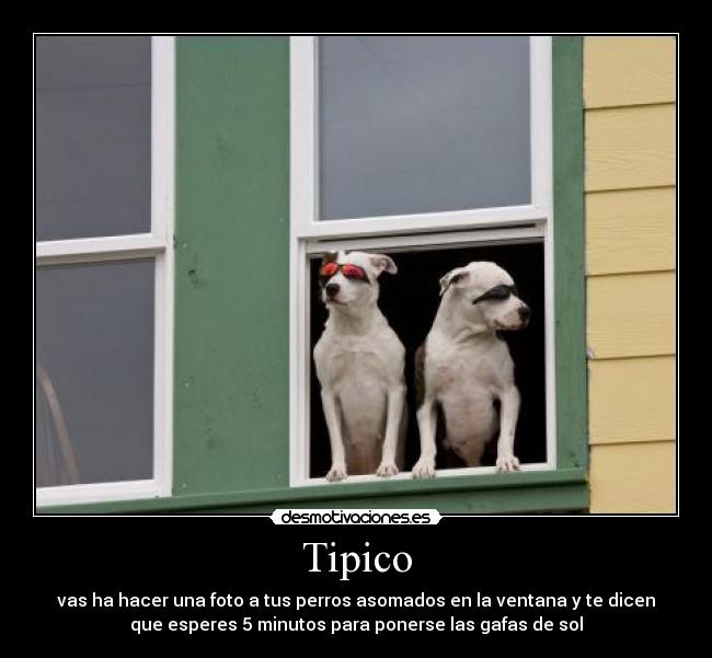 Tipico - 