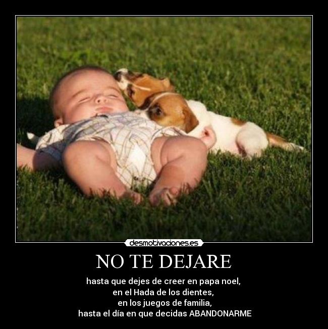 NO TE DEJARE - 