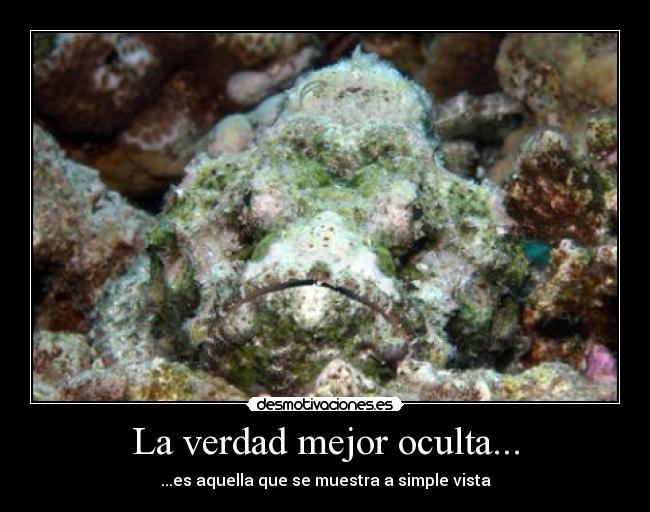 La verdad mejor oculta... - 