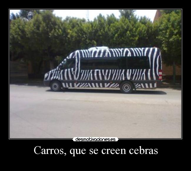 Carros, que se creen cebras -